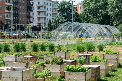 Beim Urban Farming werden Lebensmittel direkt in der Stadt produziert. Foto: Adobe Stock