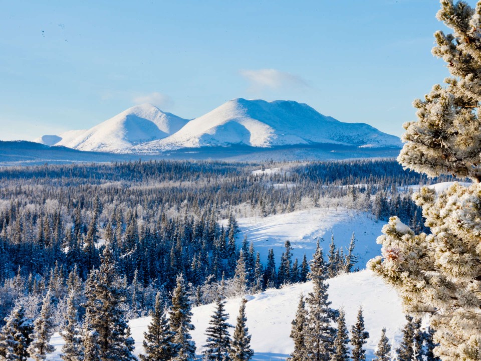 Die beeindruckenden Landschaften des Yukon in Kanada, Foto: Adobe Stock____