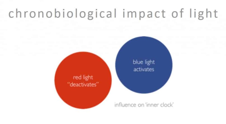 Farbiges Licht beeinflusst die biologische Uhr: rotes Licht "deaktiviert", blaues aktiviert. ____